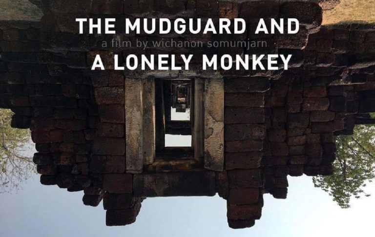 The Mudguard and A Lonely Monkey